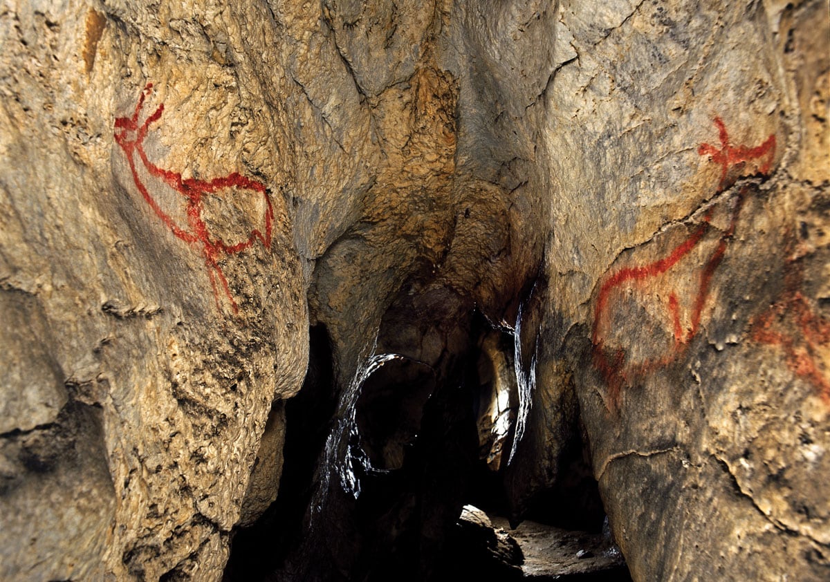 Cueva Covalanas.