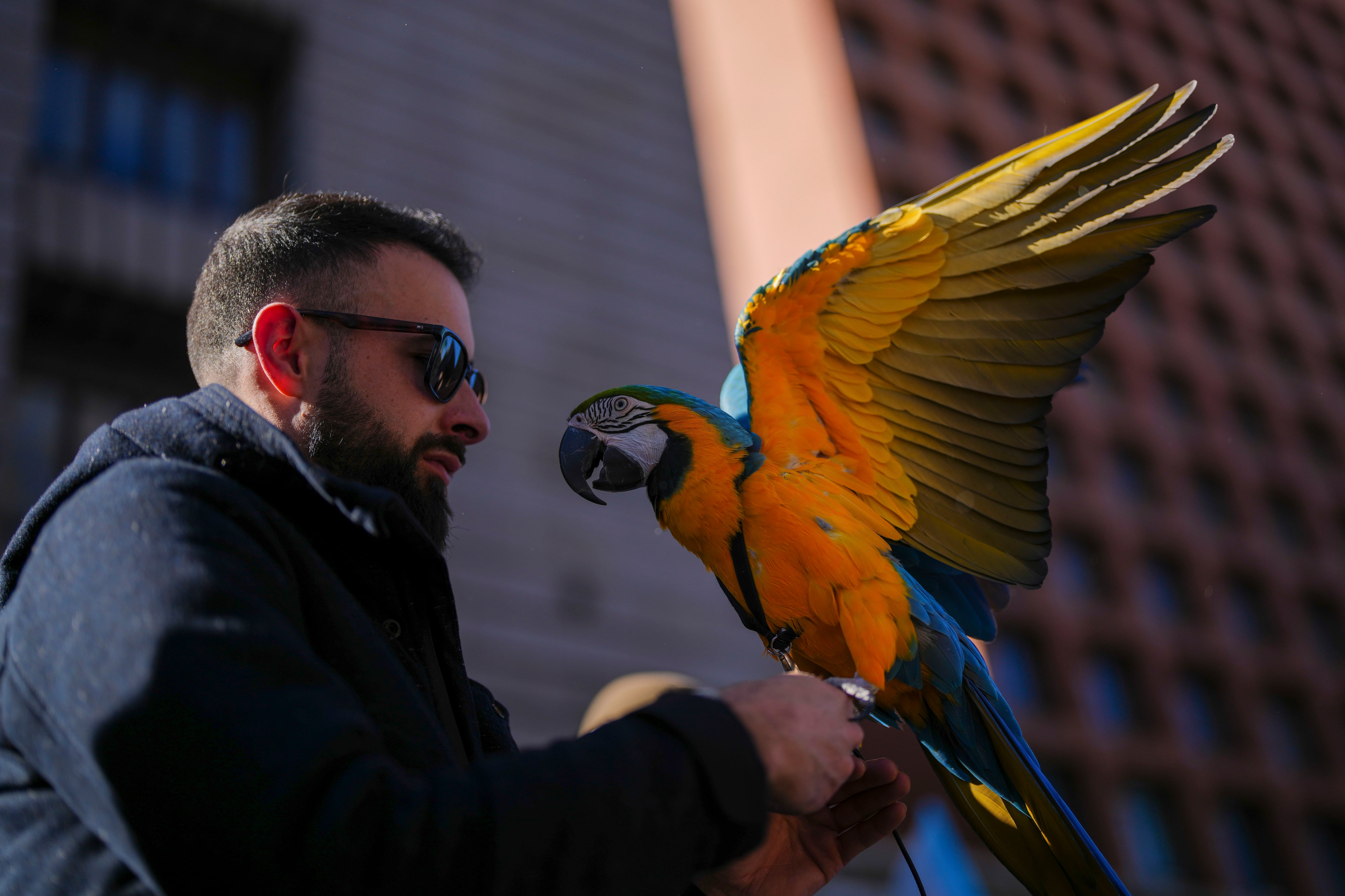 La Ley de Bienestar animal entrará en vigor en septiembre