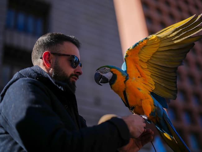 La Ley de Bienestar animal entrará en vigor en septiembre