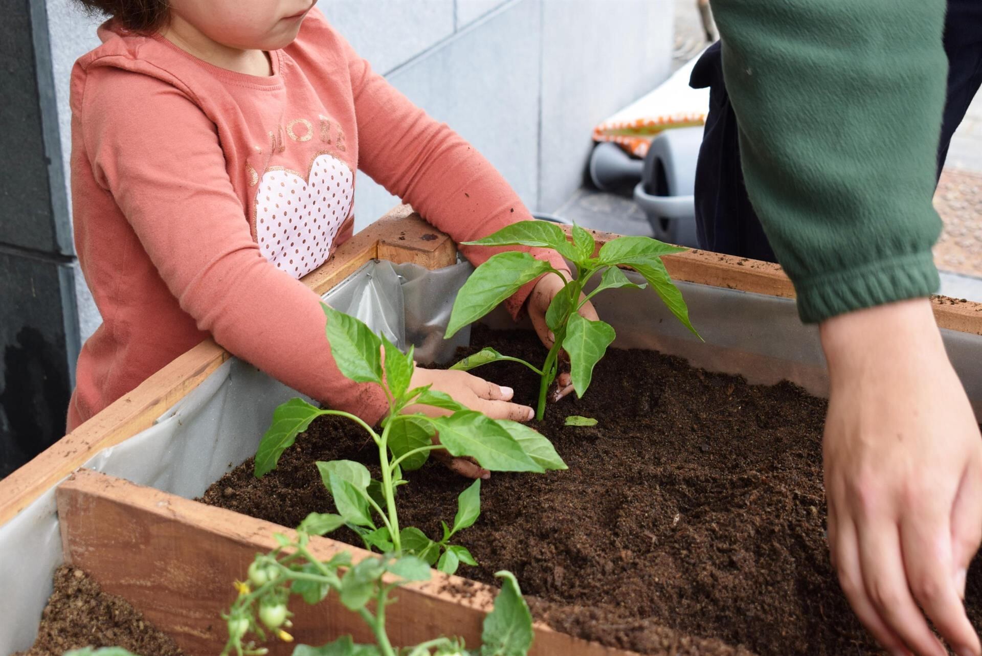 Actividad de las ecoescuelas de Piélagos - AYUNTAMIENTO