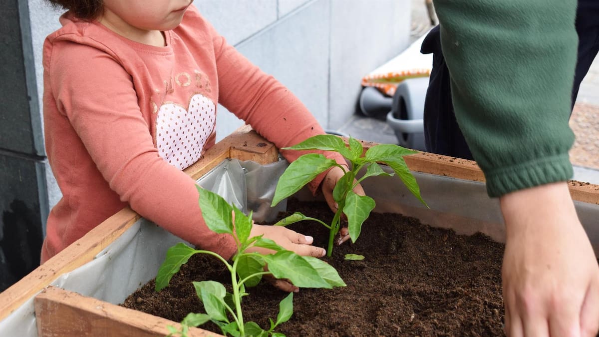 La guarderías de Piélagos obtienen la bandera verde como 'ecoescuelas'