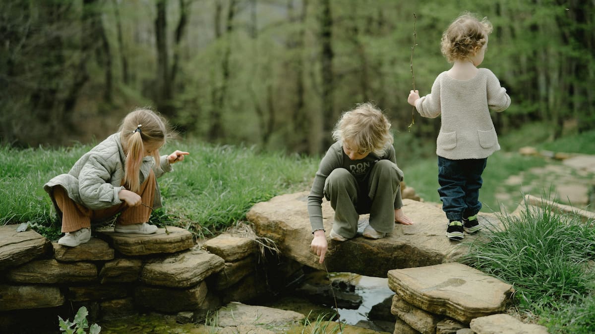 Magale organiza la jornada "Cómo prevenir el desamparo"