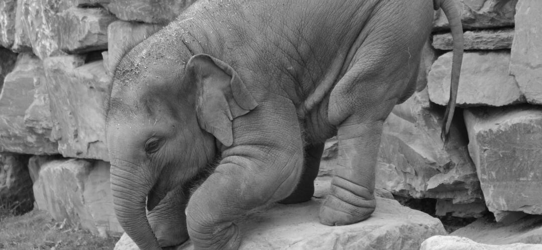 Muchas películas para disfrutar de estos días de descanso