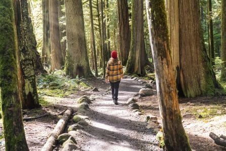 Una persona durante un baño de bosque