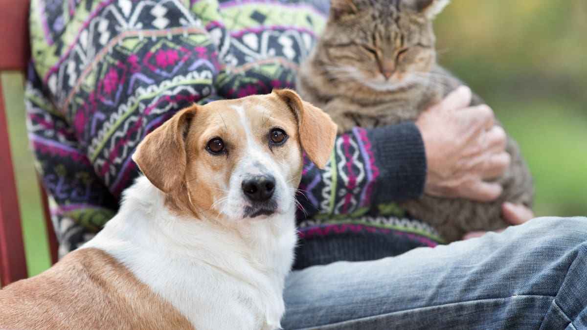 Mercedes Sánchez. Veterinaria