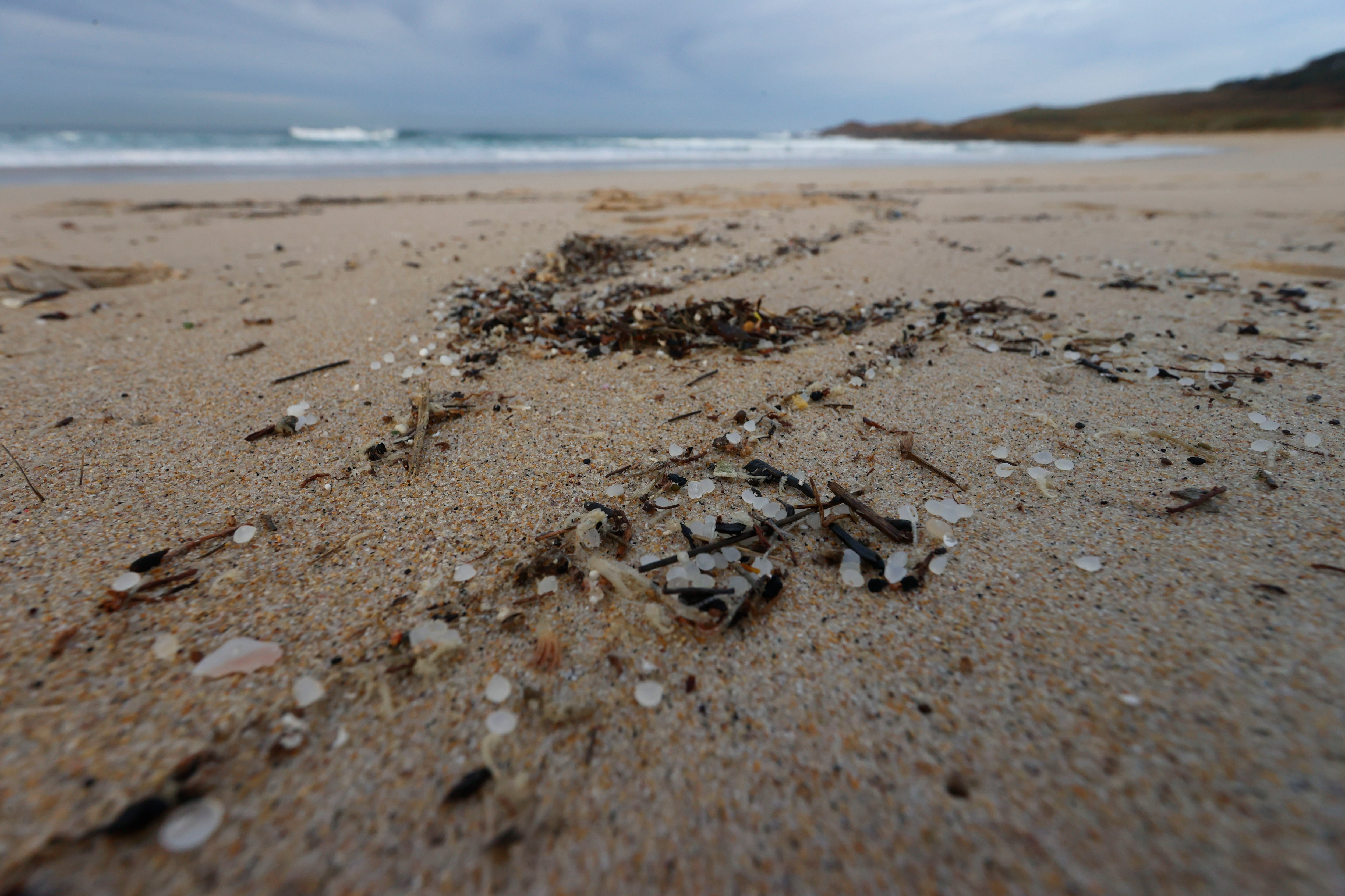 FERROL (GALICIA), 08/01/2024.- Voluntarios, asociaciones de ecologistas y los propios municipios afectados llevan días organizándose para limpiar las playas gallegas afectadas por el vertido de millones de pellets de plásticos tras la pérdida de hasta seis contenedores por parte del buque Tuconao en aguas portuguesas. Los micro plásticos llegan a la playa de Doniños en Ferrol. EFE/ kiko delgado
