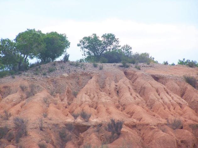 Desertificación y erosión de suelos, dos consecuencias del cambio climático.