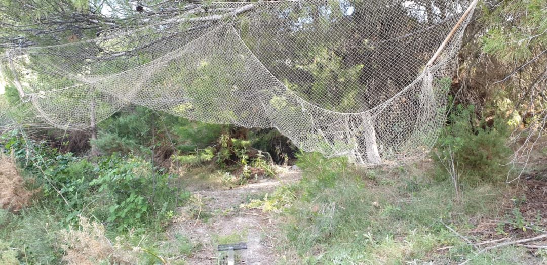 La Policía Local de Jaén pilló in fraganti a un hombre y una mujer, de la que tenía orden de alejamiento, cazando pájaros de forma ilegal