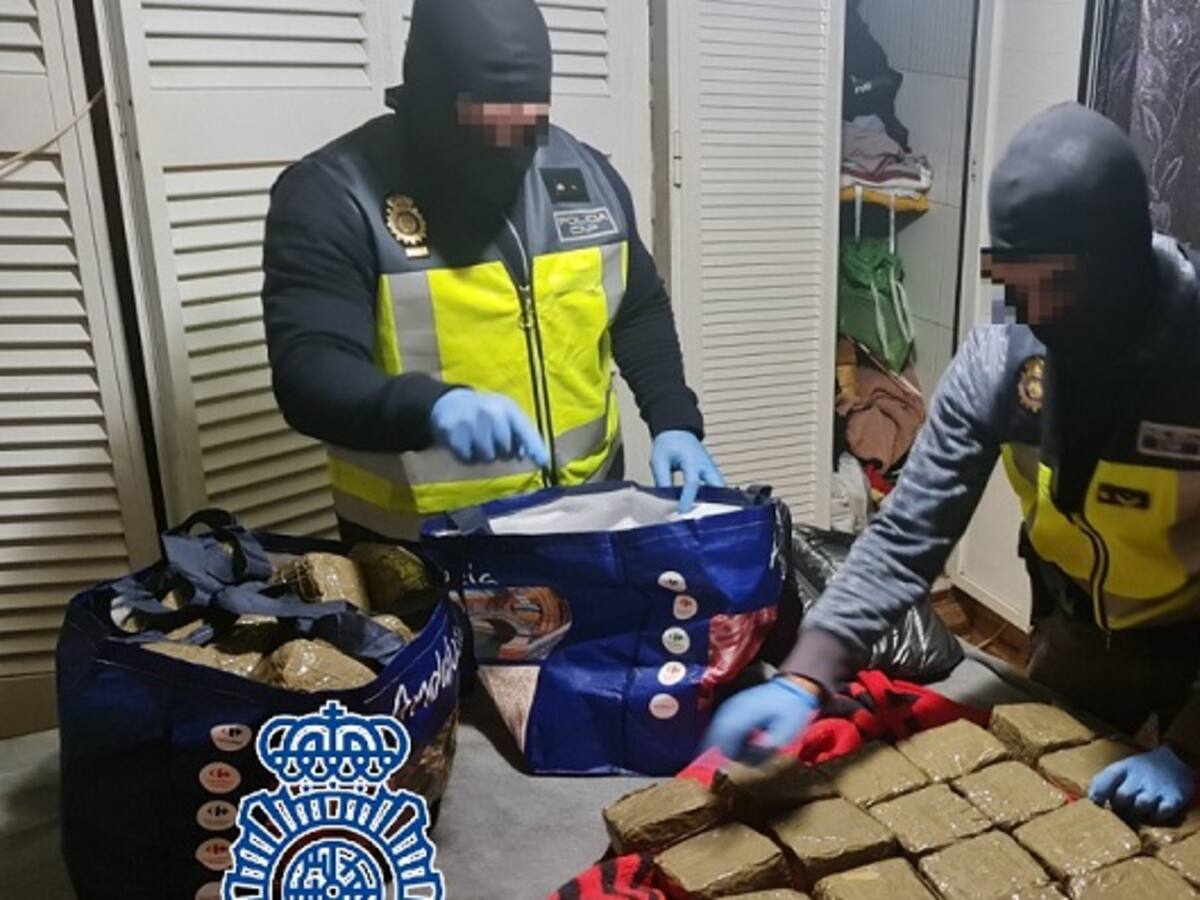 Cae una plantación indoor de marihuana con 302 plantas en Algeciras