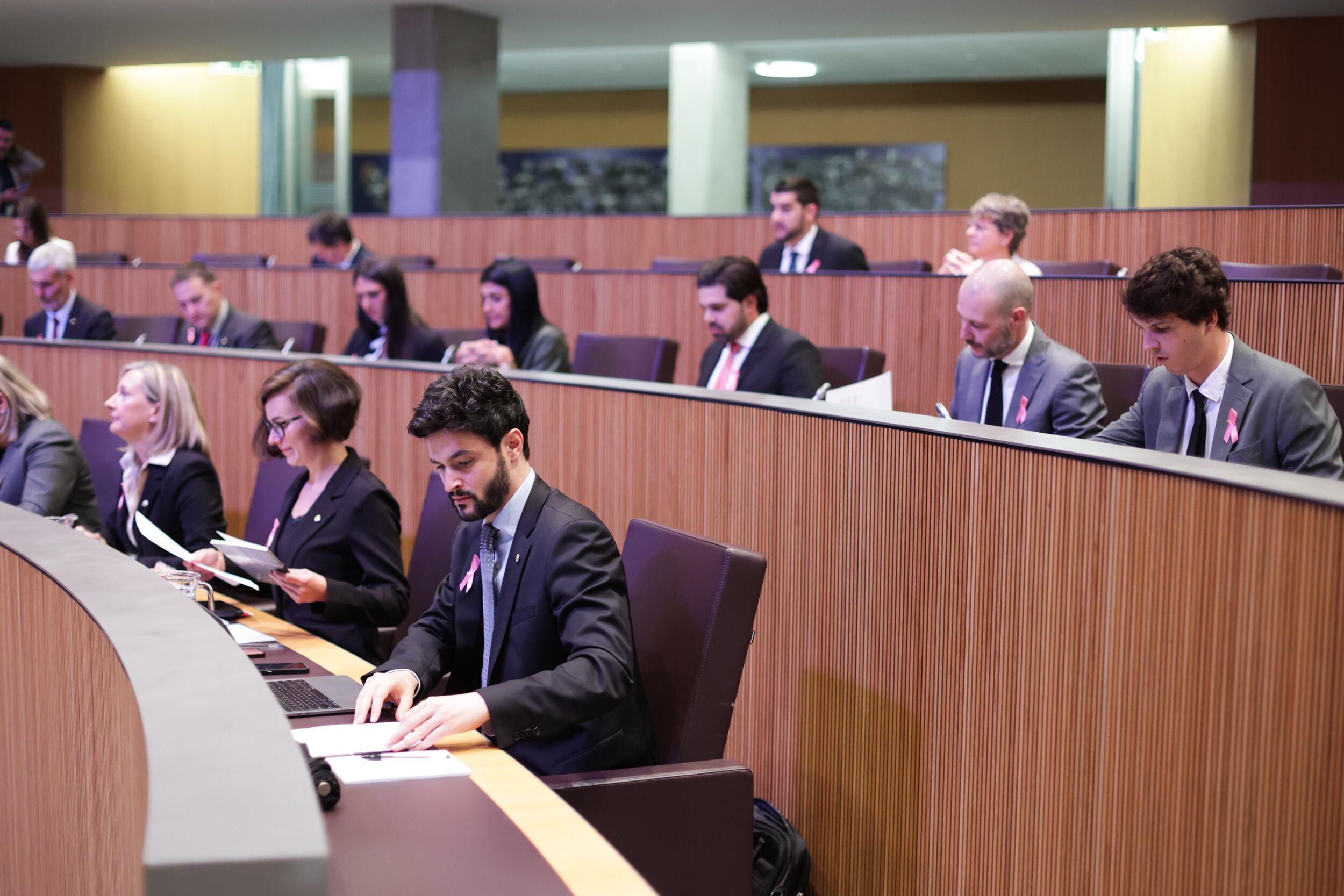 Els consellers generals de Concòrdia en un ple del Consell General