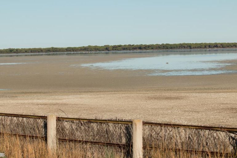 Marisma de Doñana