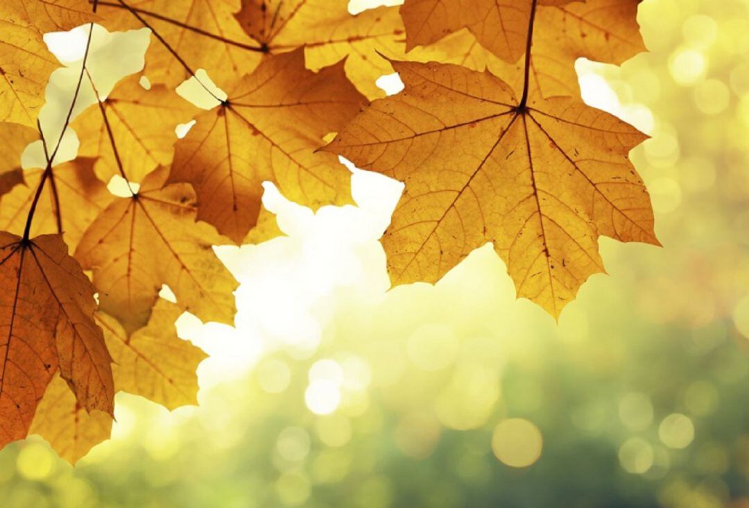 Octubre fue muy frío y seco en las Pitiusas