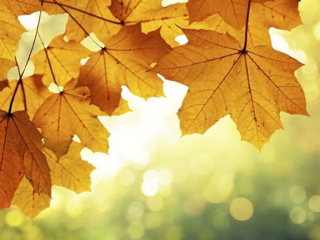 Octubre fue muy frío y seco en las Pitiusas