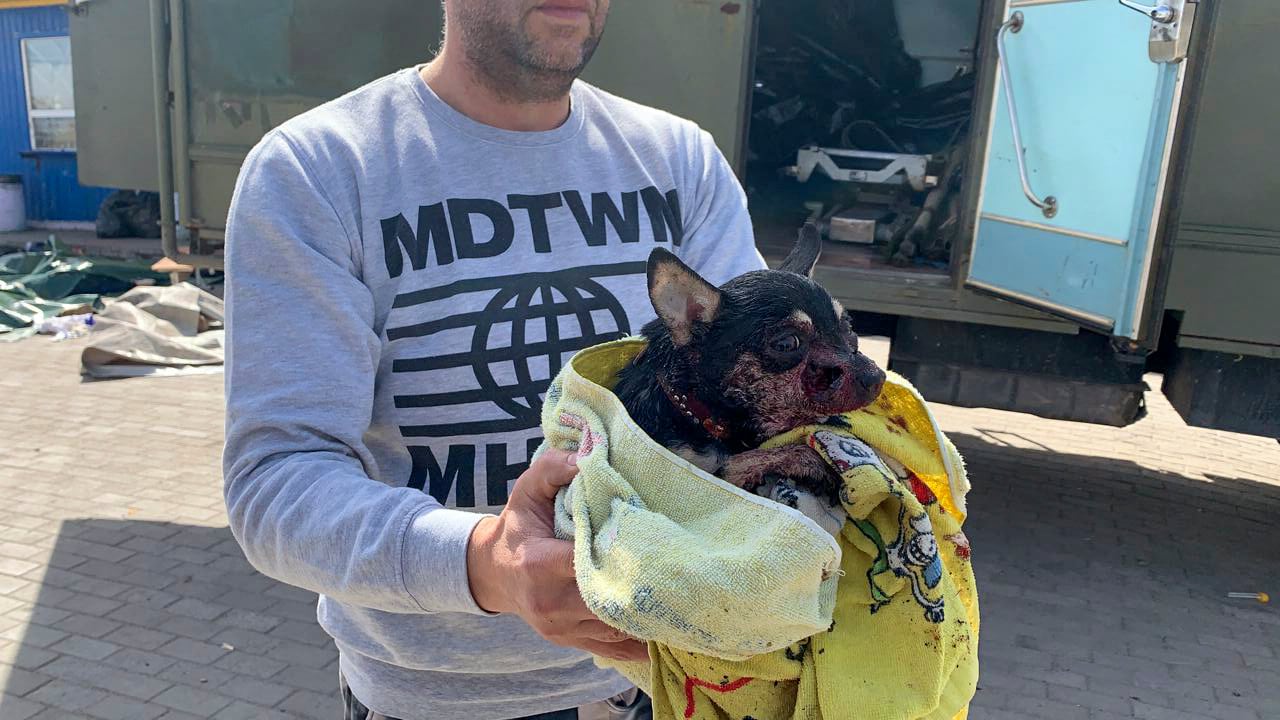 Un hombre recoge a un perro herido en el ataque a la estación de trenes de Kramatorsk.