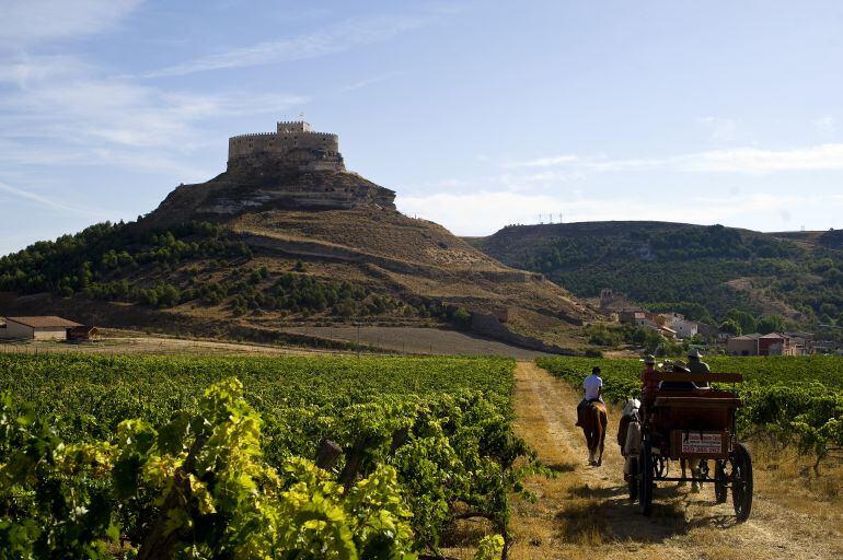 Paseo entre viñedos en Curiel de Duero