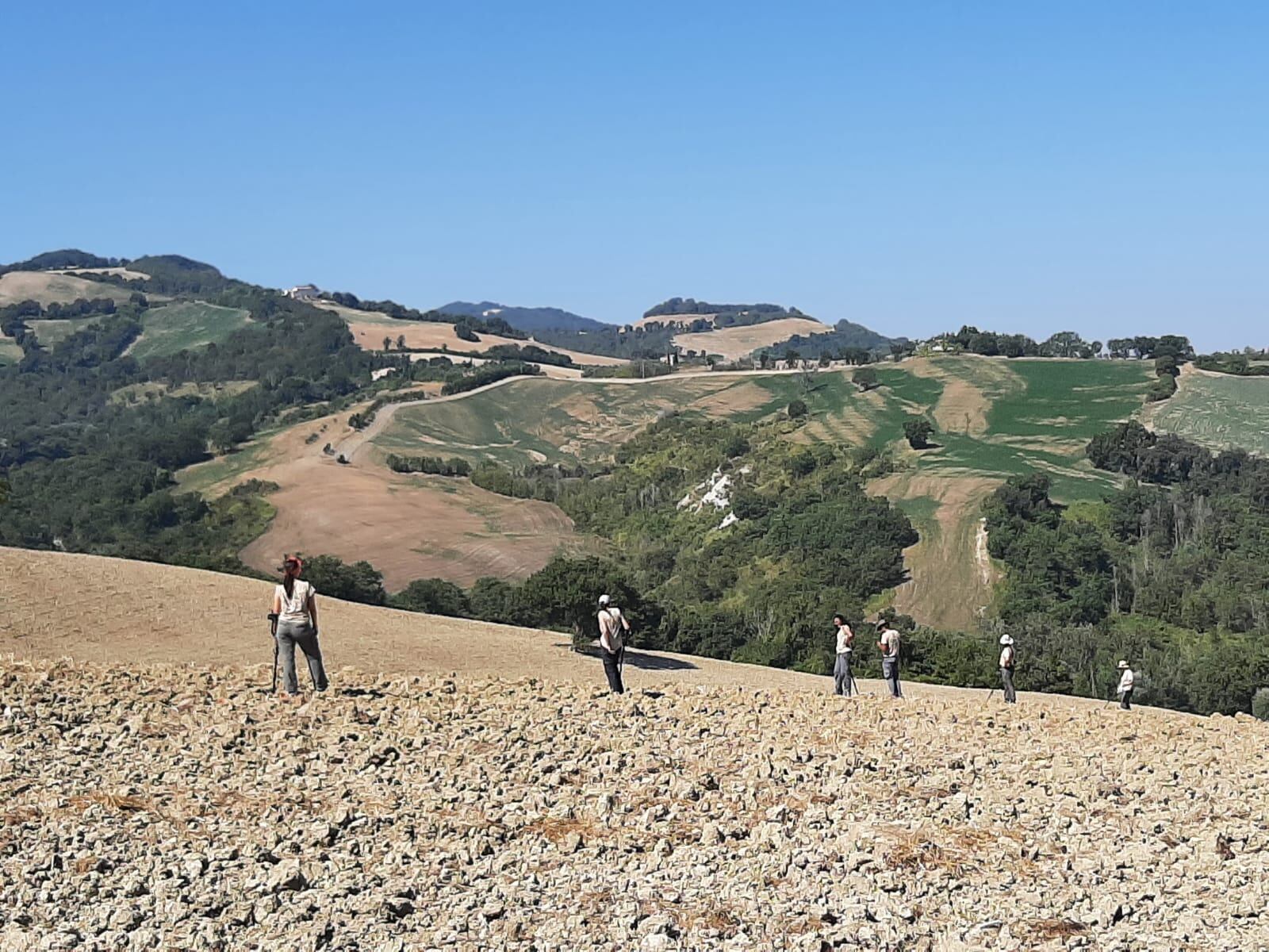 Trabajos arqueológicos de los integrantes del Instituto de Arqueología Ibérica de la Universidad de Jaén en la zona de la Batalla del Metauro.