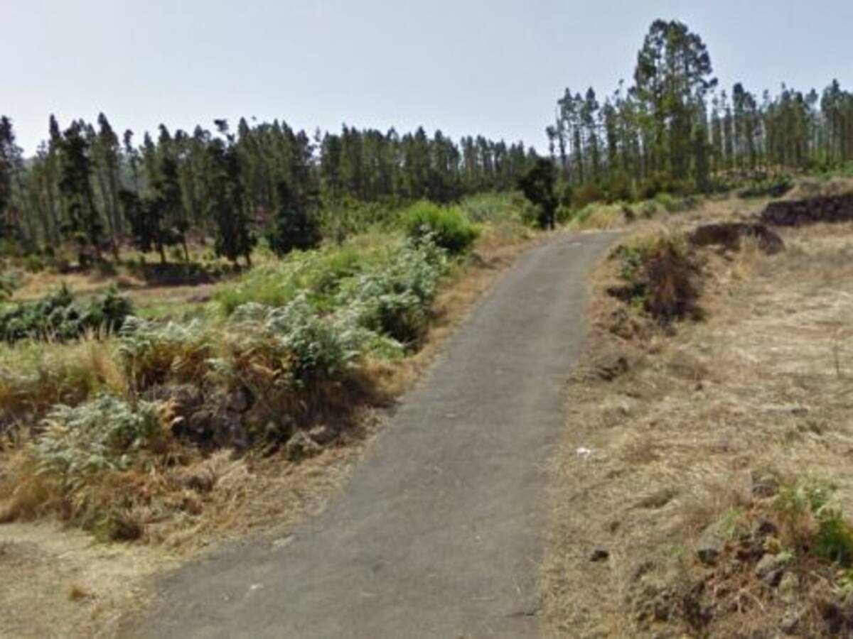 Encuentran dos cadáveres en una pista forestal de Tenerife