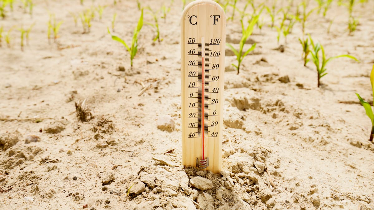 Cuestión de grados centígrados y uso de inteligencia artificial: las proyecciones climáticas en Aragón - Hora 14 Aragón (27/10/2024)