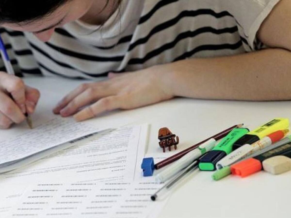 Padres y profesores canarios difieren sobre regular por Ley la saturación de deberes