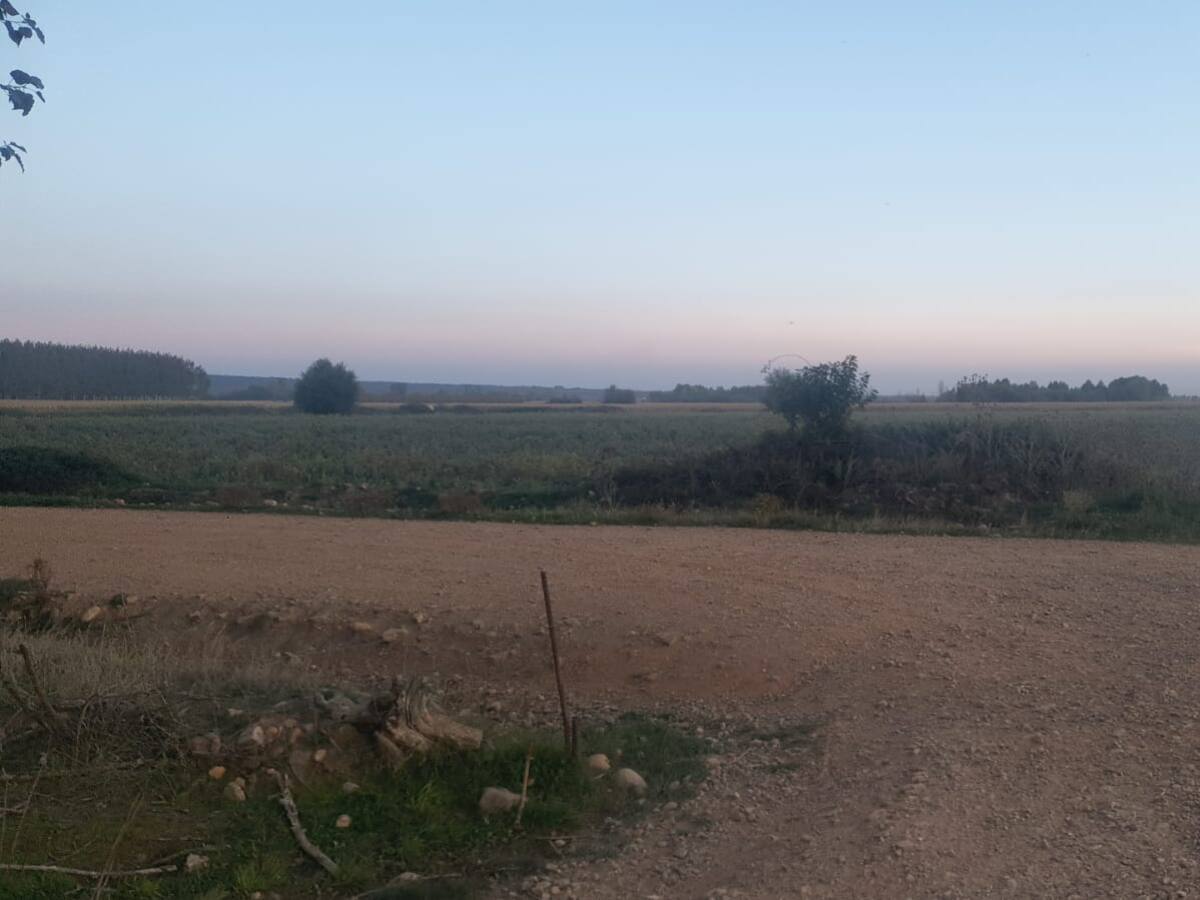 Un centro logístico de biomasa generará 30 empleos en Llamas de la Ribera