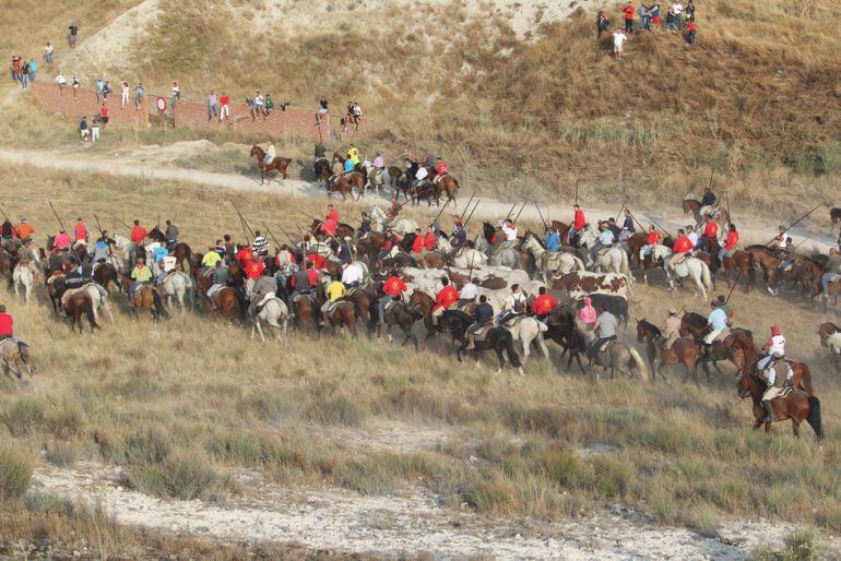 Bajada del Embudo de los astados de Lagunajanda en la mañana del miércoles de toros.