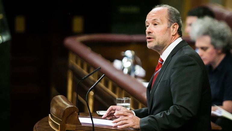 El diputado gaditano y portavoz del PSOE en materia de justicia en el Congreso de los Diputados