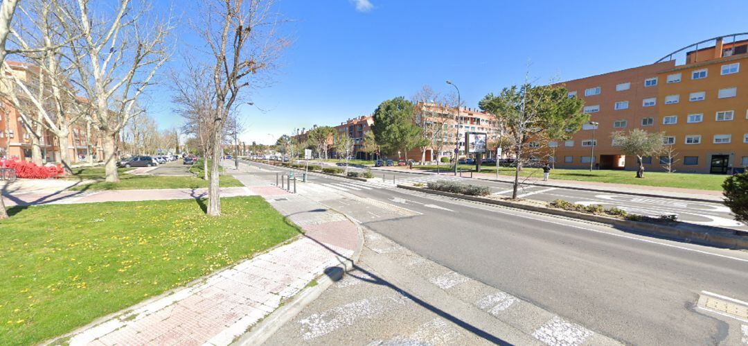 El paso de peatones en la avenida Juan de Borbón