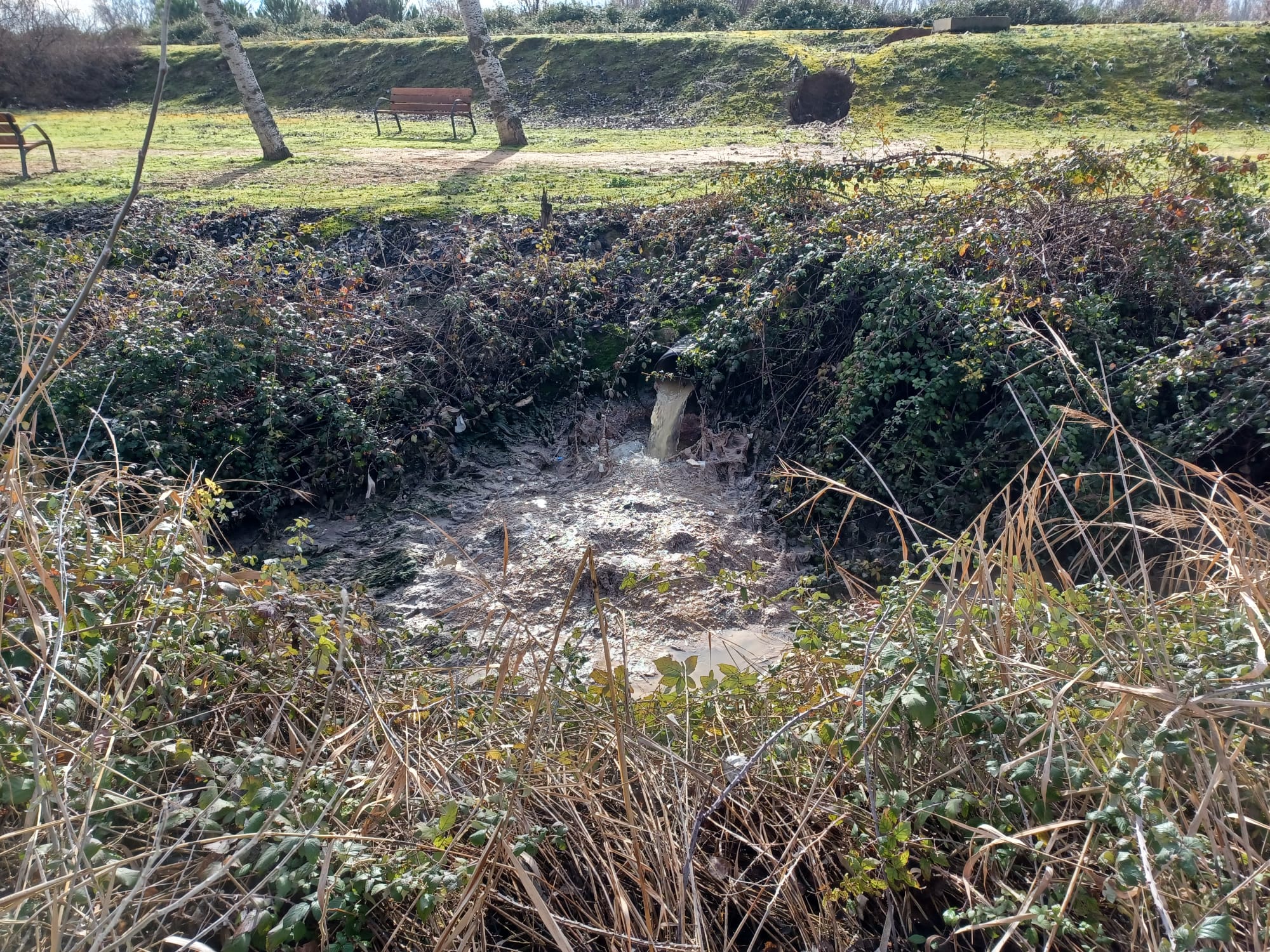 Arroyo lleva meses vertiendo aguas fecales al parque del Socayo a la espera de la reparación de su estación de bombeo