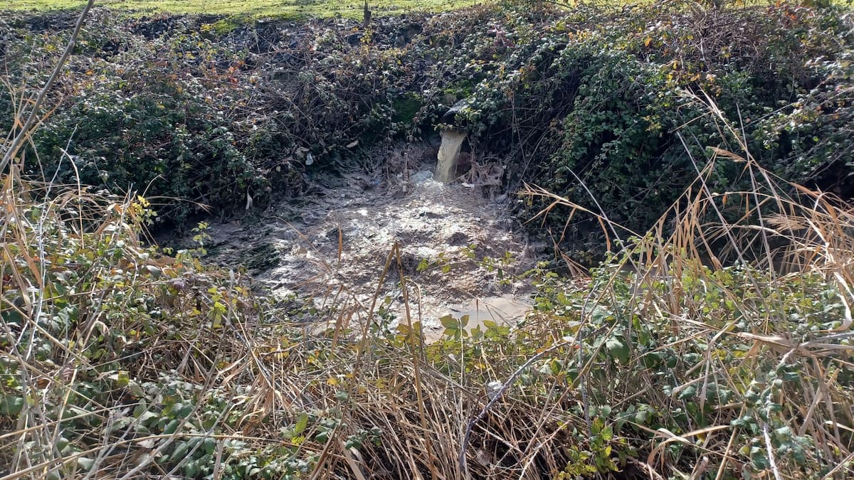 Arroyo lleva meses vertiendo aguas fecales al parque del Socayo a la espera de la reparación de su estación de bombeo