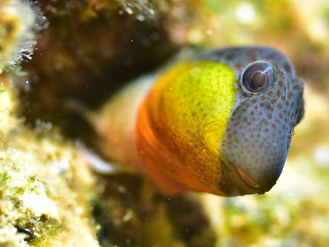 Fotografía de José Luis Alcaide