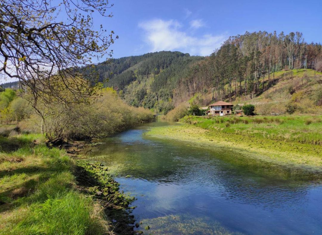 Imagen desde el sendero del rio Lea, en las cercanías a Lekeitio.