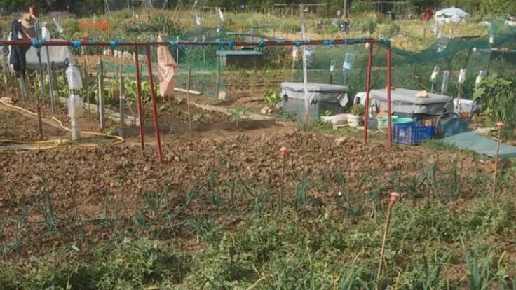 Permacultura: la filosofía de trabajar con, y no en contra de la naturaleza