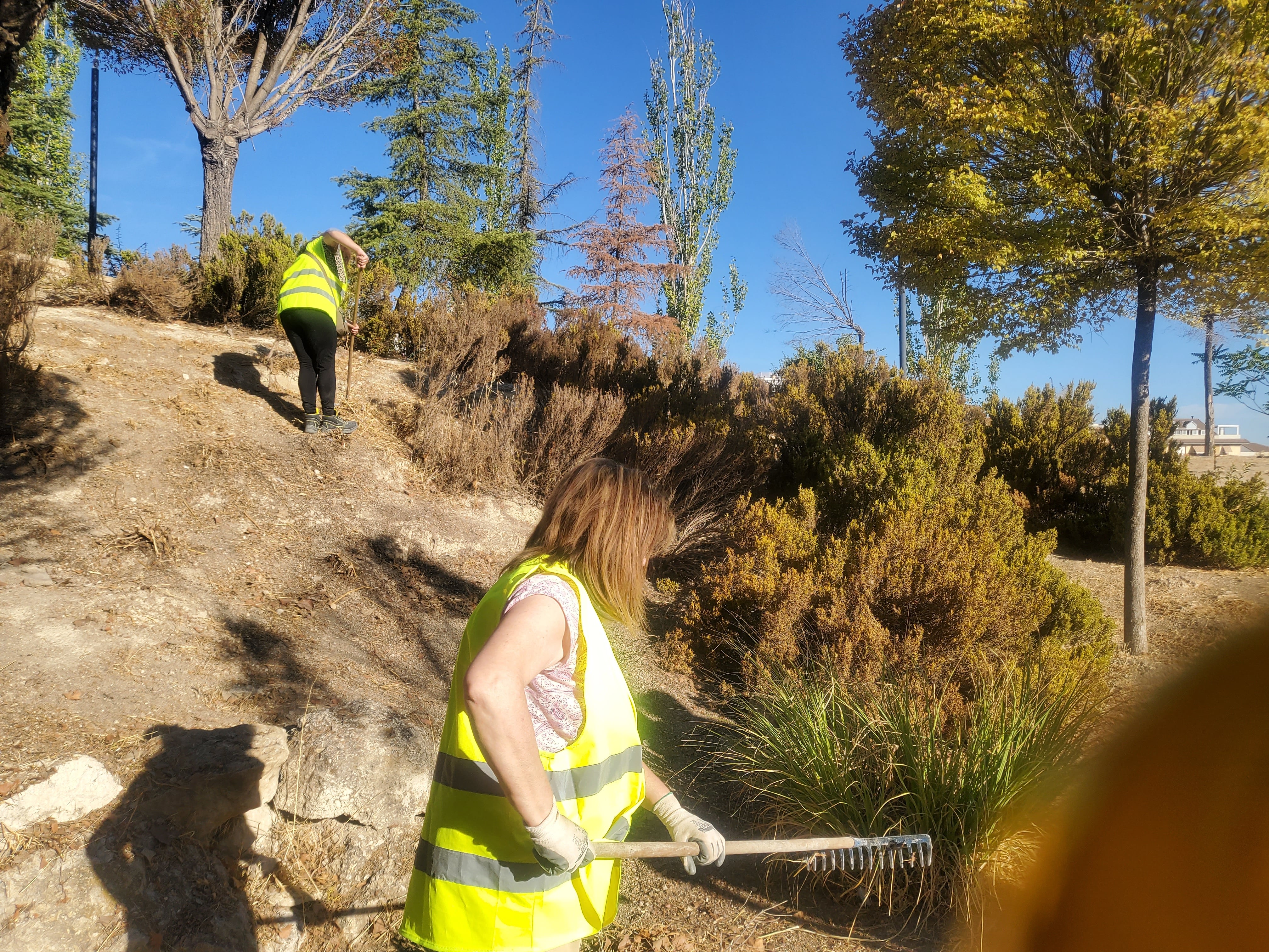 Personal realizando trabajos en el parque.