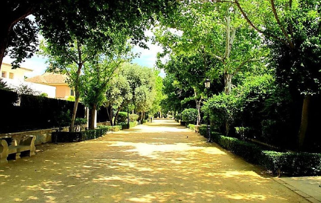 El Ayuntamiento de Lorca actúa en Las Alamedas para continuar trabajando en el embellecimiento de los parques y jardines del municipio.