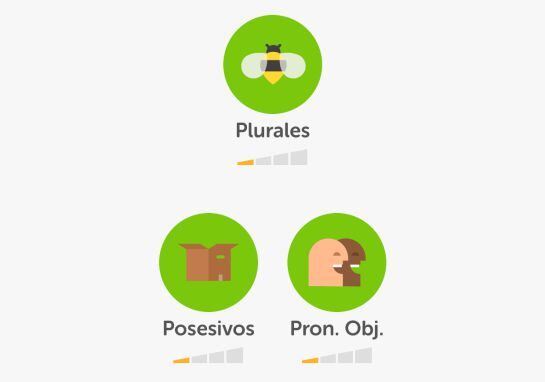 Captura de pantalla de la aplicación Duolingo