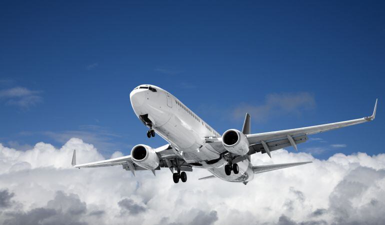 Imagen de un avión comercial en un vuelo regular.