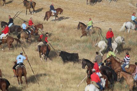 El sexto novillo intenta ser reconducido por los caballítas en el Embudo