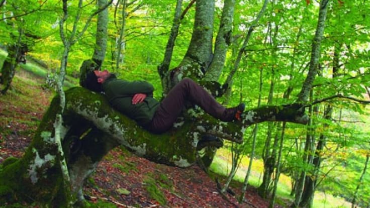 VI Jornadas de Arte y Naturaleza del Jardín Botánico de Gijón