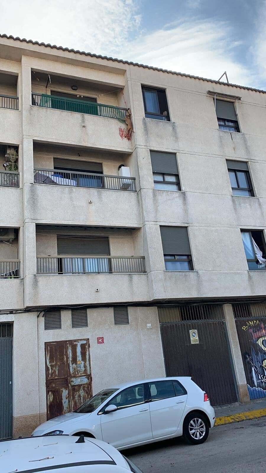 La perra casi muere ahorcada en el balcón de su casa