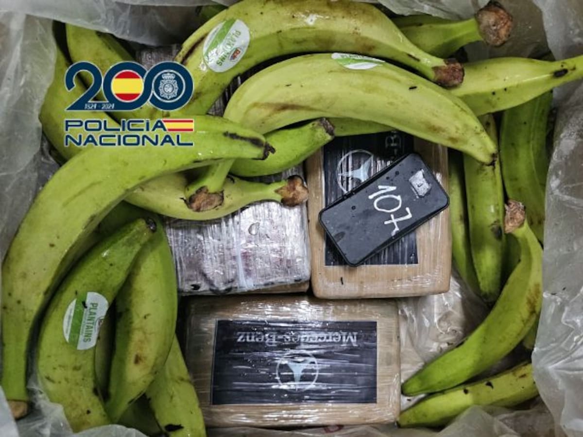 Tres detenidos en Algeciras por introducir 240 kilos de cocaína en cajas de plátanos