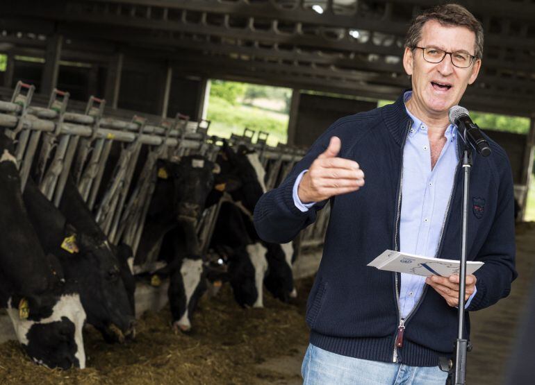 El presidente del PPdeG, Alberto Núñez Feijóo, durante su visita a una cooperativa ganadera en Santa Cristina de Román (Lugo), en su primer acto electoral