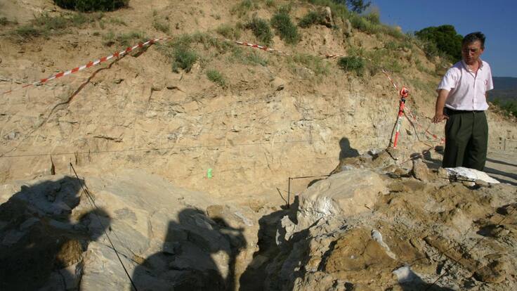 Hallados restos de dinosaurio en un municipio de Teruel