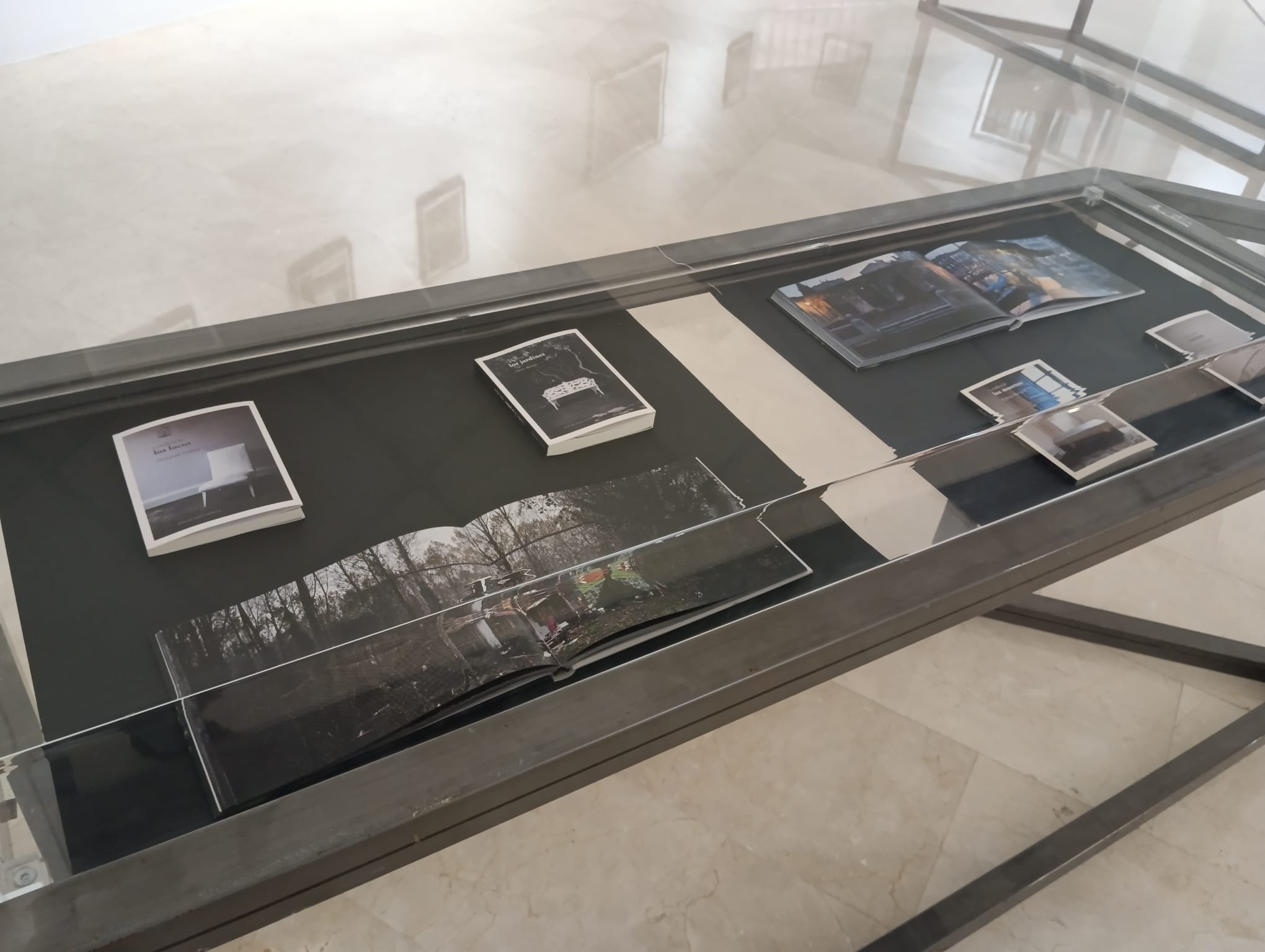 Detalle de la exposición