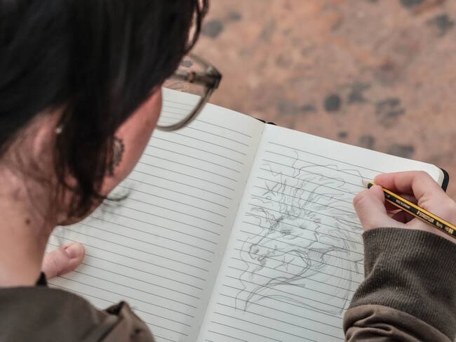 La iniciativa consiste en realizar un retrato ilustrado de la mascota de cada persona que haga un donativo a una ONG destinada a ayudar a los damnificados por la DANA.