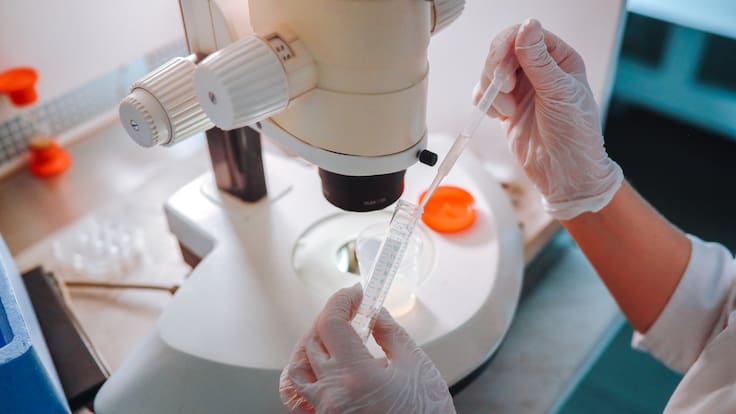 Director de la unidad de Reproducción Asistida de Quirón Salud Zaragoza, Antonio Urríes.