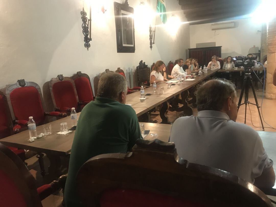 Solo Antonio Marín Lara y Carlos Mirasol (APR) permanecieron sentados en sus asientos hasta finalizar la sesión. La edil Pepi Valle lo hizo pero de pie