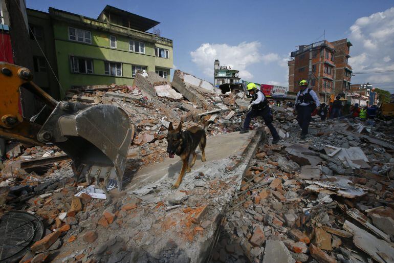 Miembros de los servicios de rescate buscan supervivientes entre los escombros en Katmandú tras el terremoto de hace dos semanas