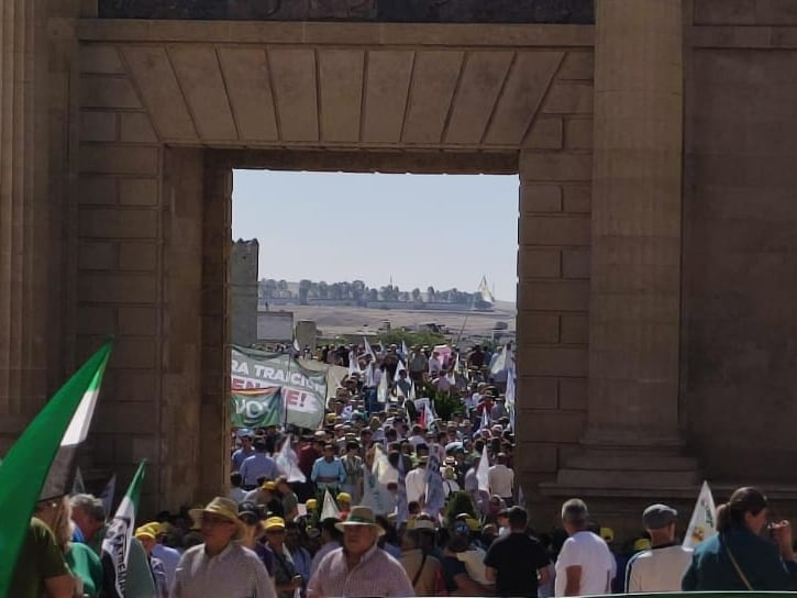 Protesta de las organizaciones agrarias y las cooperativas en Córdoba con motivo de la RIM