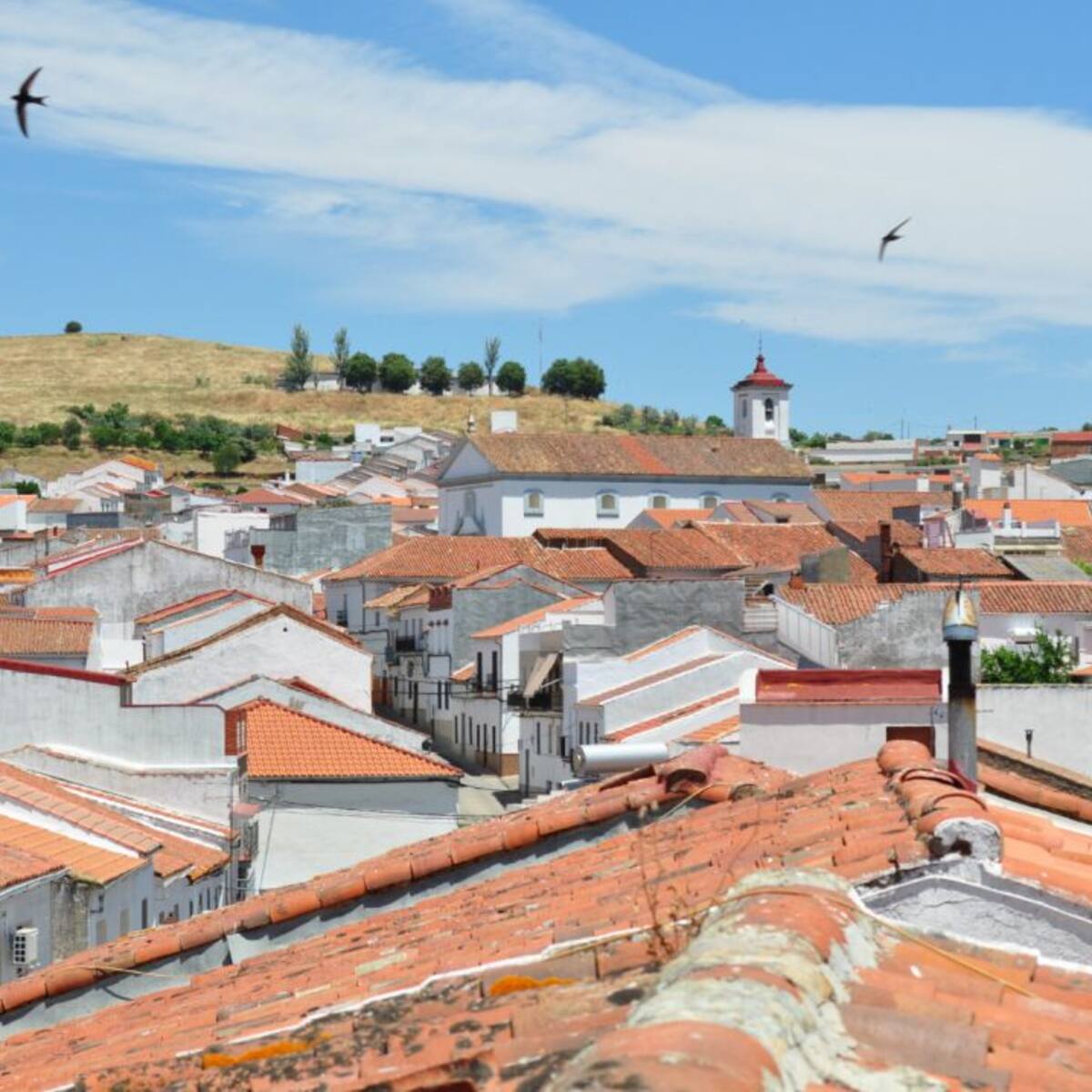 La alcaldesa de Villaviciosa pide a Salud un cribado masivo y restricciones para evitar más contagios