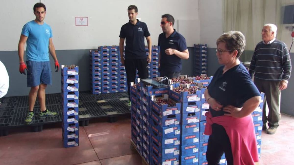 Ahora sí, la cereza de Torres en plena campaña